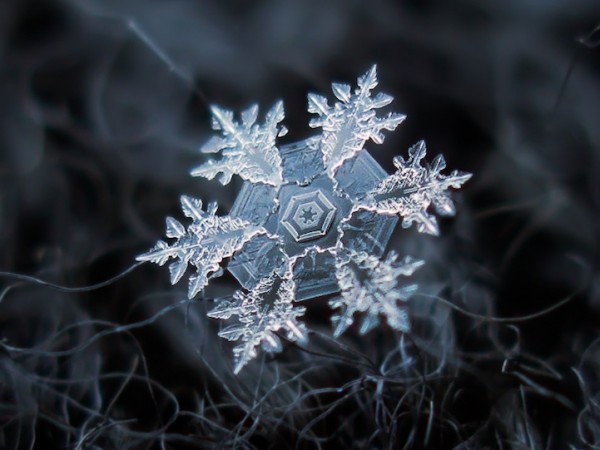 عکس های نزدیک از دانه های برف