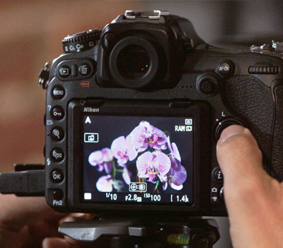 چند تکنیک برای عکاسی با دوربین Nikon